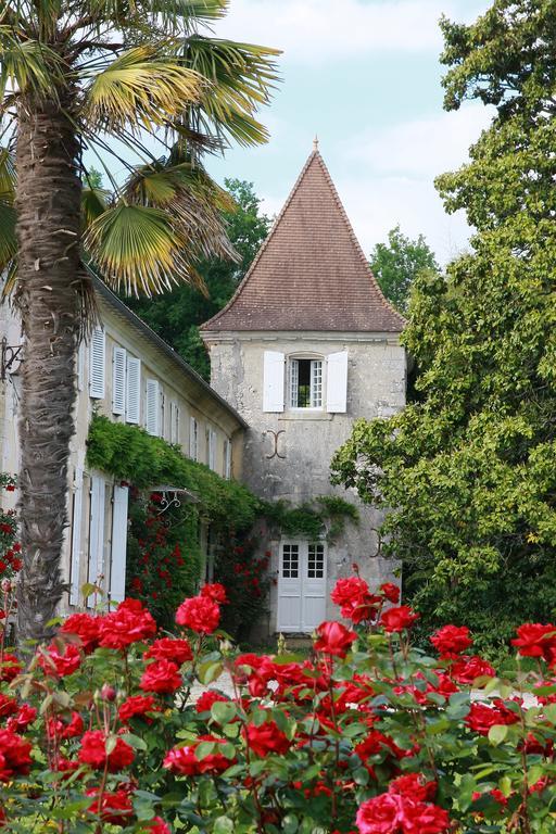Bed and Breakfast Chateau De Puyrigaud Leoville Екстер'єр фото