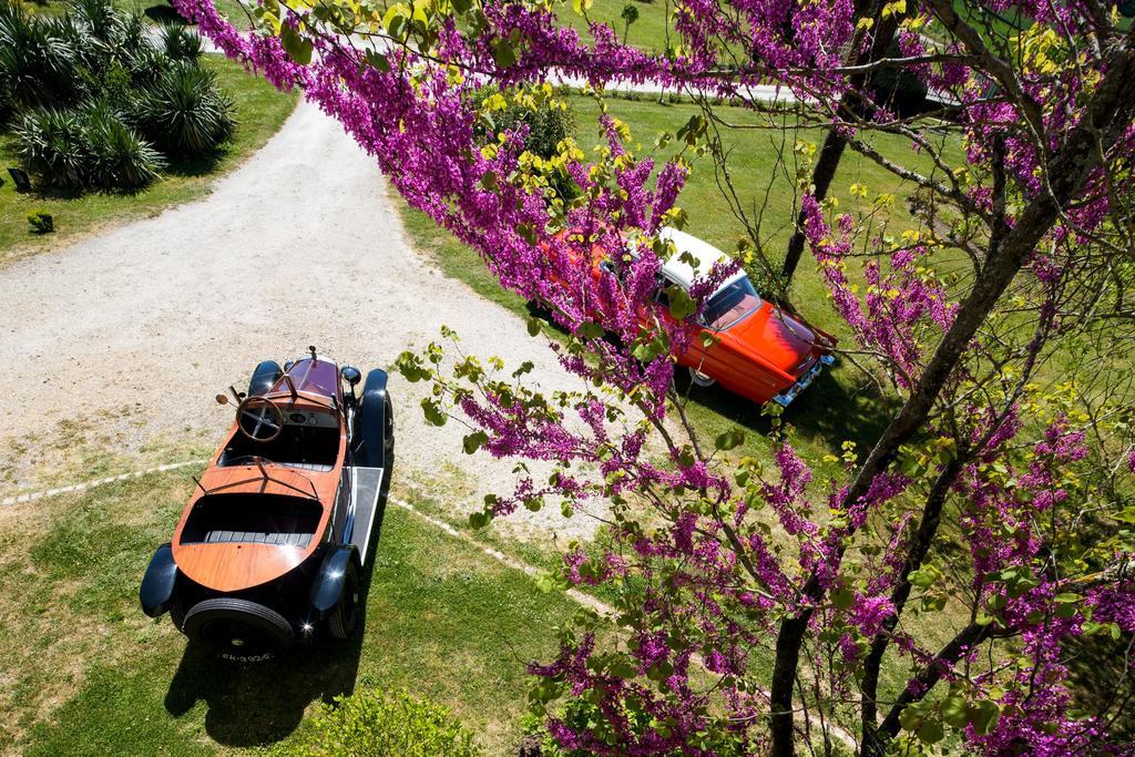 Bed and Breakfast Chateau De Puyrigaud Leoville Екстер'єр фото